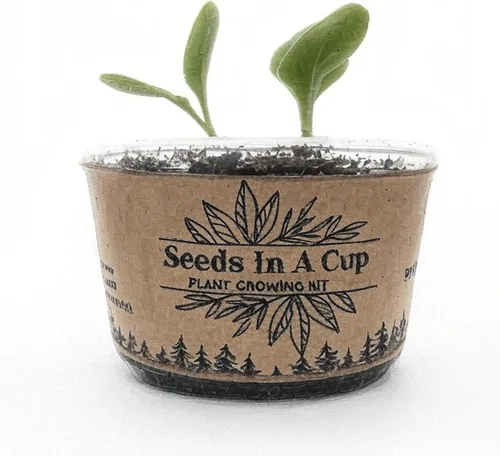 Vista 2 de Semillas en una taza - Kit de cultivo de plantas (brócoli)