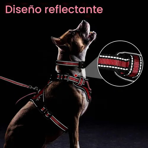 Vista 5 de WINSEE - Juego de arnés, collar y correa para mascotas, todo en uno, arnés reflectante para perros sin tirones con hebillas ajustables para Rojo