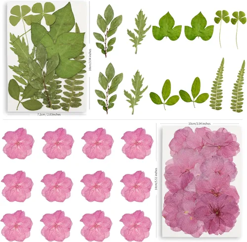 Vista 7 de 95PCS flores secas prensadas para manualidades con pinzas y bolígrafo de pegamento