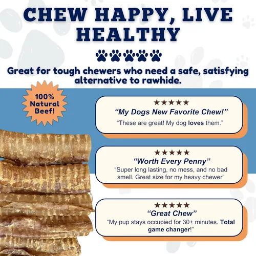 Vista 7 de Amazing Dog Treats - Masticables para perros con tráquea de carne de res de 6 pulgadas (5 piezas - 8 onzas) - Golosinas para perros de tráquea - SIN