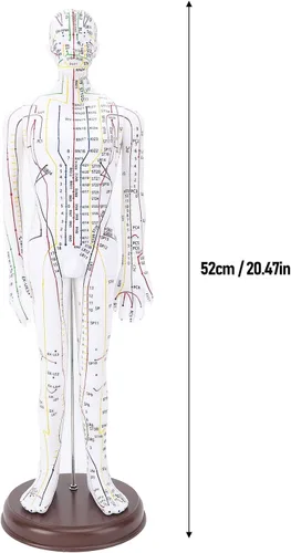 Vista 6 de Modelo de acupuntura de cuerpo humano de 20.5 in, modelo de acupuntura de punto de presión de maniquí de enseñanza de chino masculino/femenino