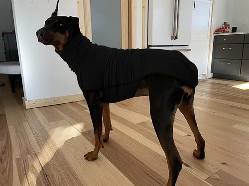 Vista 5 de Chaleco Esobo de invierno, suave, cálido, para perro pequeño, mediano y grande
