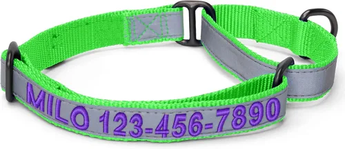 Vista 35 de Pawtitas Collar de perro Martingala personalizado reflectante reflectante bordado nombre personalizado número de teléfono ajustable para cachorros