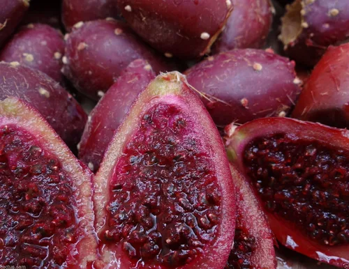 Vista 2 de 50 semillas de cactus de tuna roja, Opuntia Engelmannii, resistentes al frío, nopalea dulce