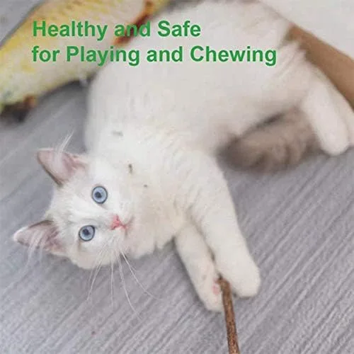 Vista 6 de 20 unidades de palitos de plata natural para Masticar Matatabi Varillas de dientes Molar Masticar Juguetes para la Limpieza de Dientes de Gato