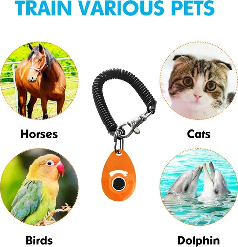 Vista 6 de MODUS Clicker de entrenamiento de mascotas para perros – Clicker con correa ajustable para la muñeca – Clicker de refuerzo positivo para perros