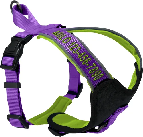 Vista 26 de Arnés para perro Pawtitas para entrenamiento de suave, ajustable, reflectante, acolchado para cachorros, Azul