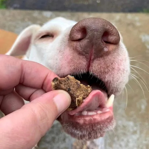 Vista 4 de Golosinas de carne de res para perros, fabricadas solo en Estados Unidos, puntas de carne de res carnosa y naturales, carne de res americana asada