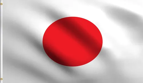 Vista 202 de DMSE - Bandera nacional beninesa beninesa de la República de África Occidental, 2 x 3 pies, 100 % poliéster, 100 % poliéster, resistente a los rayos
