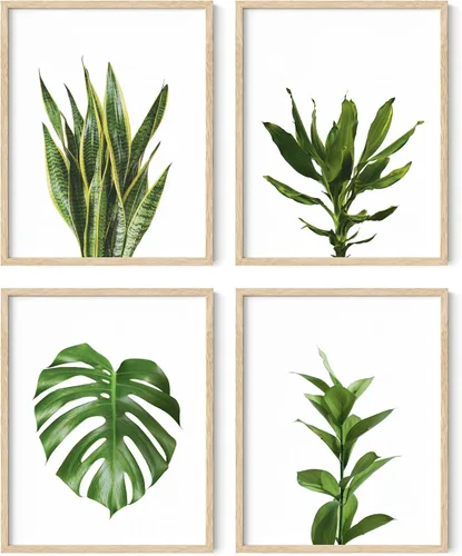 Vista 52 de HAUS AND HUES Arte de pared floral gris, juego de 4 pósteres de plantas para pared vintage, impresiones botánicas, cuadros de flores en blanco