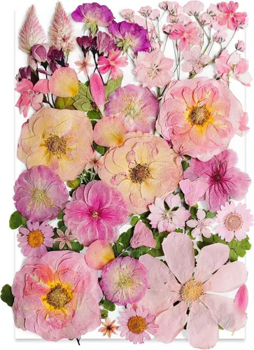 Vista 6 de 84Pcs Real Natural Dried Pressed Flowers & Green Leaves for DIY Crafts, Resin, Scrapbooking, Frame Decor + 4 Packs + Tweezers