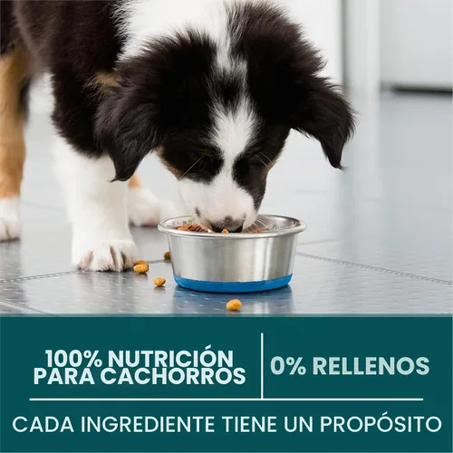 Vista 8 de Purina ONE - Alimento para cachorros de raza grande en seco, fórmula +Plus de raza grande, bolsa de 16.5 libras