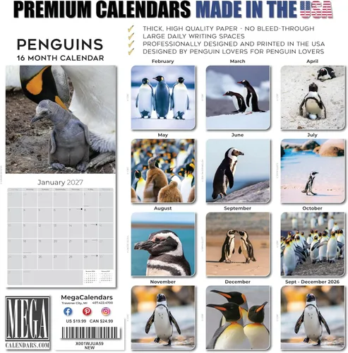 Vista 70 de Calendario de grises africanos 2025 2026 – Planificador mensual de pared de aves africanas – 12 x 18 pulgadas (abierto), calendario de pared