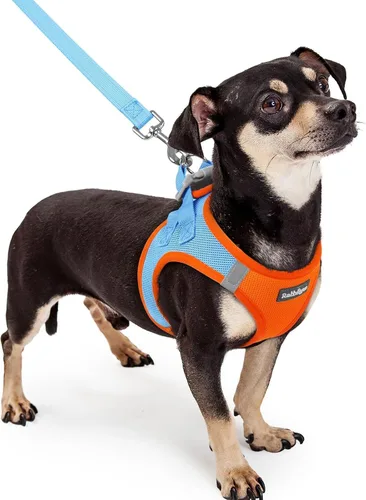 Vista 110 de rabbitgoo Arnés para perro de tamaño pequeño y juego de correa, chaleco Cachorros de manzana
