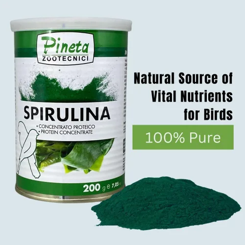 Vista 5 de PINETA Spirulina en polvo orgánico 7.05 oz – Suplemento de espirulina para aves canarias y granívoras – 100% natural, suplemento de apoyo
