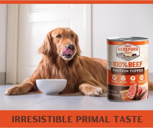 Vista 2 de Alimento húmedo para perros 100% de carne de res, un solo ingrediente, mezclador y adorno rico en proteínas, pastel de carne en caldo de hueso, lata