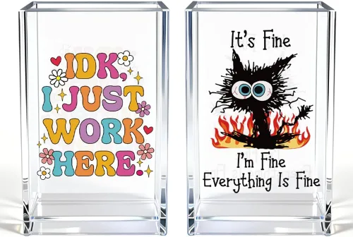 Vista 15 de It's Fine I'm Fine Soporte para Lápices y Bolígrafos Cosméticos de Acrílico, Divertido Soporte para Bolígrafos de Gato Negro, Regalo para Amantes