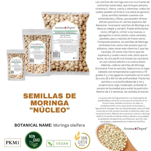 Vista 5 de Semillas de moringa de 1 libra KERNEL Shelled Clean 100% Natural, Superalimento crudo nutricional, rico en vitaminas, semillas comestibles