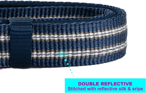 Vista 3 de Collar de nailon reflectante para perro con acolchado de neopreno suave y cómodo, ajustable para perros pequeños (cuello de 9.8 a 15 pulgadas, azul)