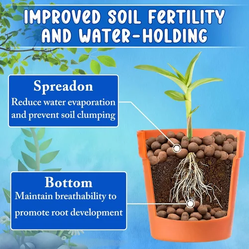 Vista 2 de ZeeDix - Guijarros de arcilla leca de 5 libras para plantas. Bolas de arcilla hidropónica orgánica Hydroton Leca Balls for Indoor Plants