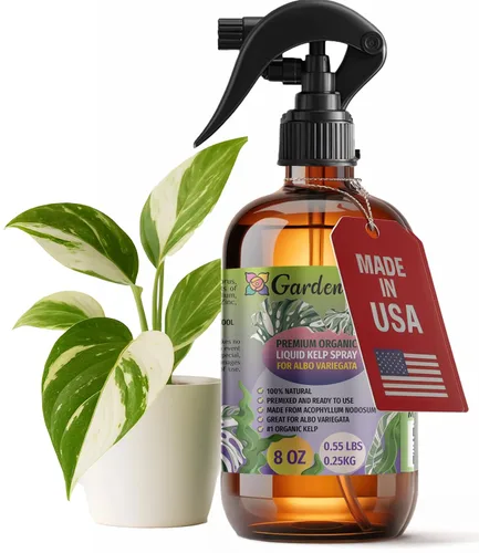 Vista 14 de GARDENERA Spray orgánico profesional de algas marinas para plantas de orquídeas – 8 oz – Rocío fertilizante de algas marinas y algas marinas