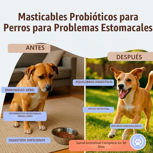 Vista 2 de Natural Dog Company - Masticables probióticos para perros, 45 unidades, suministro para 6 semanas