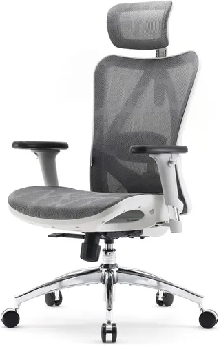 Vista 22 de SIHOO Silla de oficina ergonómica M57, silla de escritorio con respaldo