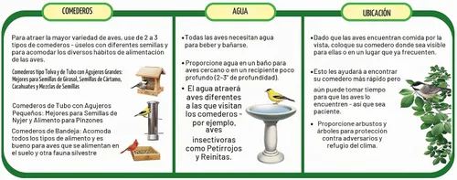 Vista 5 de Wagner's 62008 Western Regional Blend - Alimento para pájaros silvestres, bolsa de 20 libras