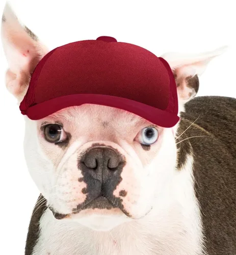 Vista 35 de DIY PupLid Trucker Hats (negro/blanco, XXS) - Sombrero de perro personalizable, lona en blanco para diseño personalizado, ajustable, protección