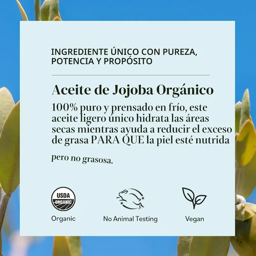 Vista 5 de Aceite de jojoba orgánico de Sky Organics (4 onzas líquidas) USDA Orgánico 100% puro y prensado en frío Aceite de jojoba sin refinar para piel grasa