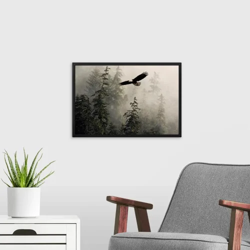 Vista 3 de CANVAS ON DEMAND Lienzo decorativo para pared, diseño de águila calva volando a través de brumoso Tongass Nat Forest Southeast Alaska por John Hyde
