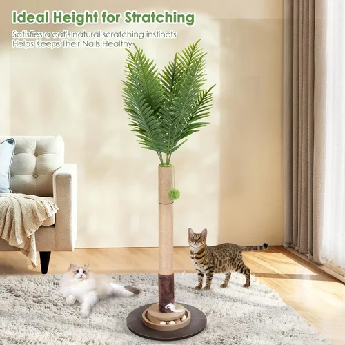 Vista 5 de Rascador para gatos, torre de árbol para gatos de 35 pulgadas de alto con bola colgante para gatos de interior y adultos, palma de areca, cuerda