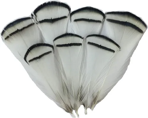 Vista 6 de Sowder 50pcs plumas de plumaje de faisán verde 1.5-3 pulgadas decoración de la boda del hogar