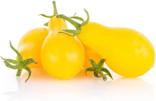 Vista 3 de Tomate Yellow-Pear (75 Semillas)