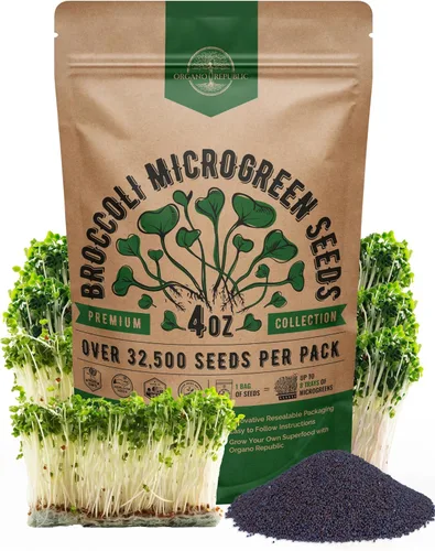 Vista 9 de Organo Republic Semillas de Rúcula para Germinación y Microgreens - Kit de Semillas de Brotes Sin OGM, Reliquia, Bolsa Resellable de 1 libra