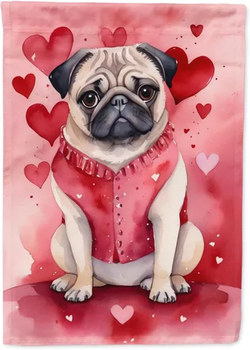 Vista 214 de Caroline's Treasures DAC5252GF Affenpinscher - Bandera de jardín con texto en inglés "My Valentine", bandera decorativa para patio exterior, patio
