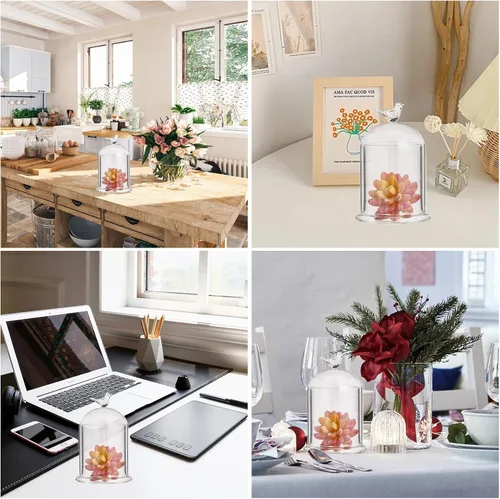 Vista 7 de CHGCRAFT Cubierta de cúpula de cristal con diseño de pájaro en forma de arco con base de vidrio, vitrina decorativa para portavelas, plantas