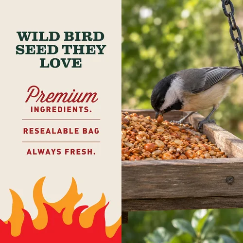 Vista 3 de Mr. Bird Flaming Hot Feast - Bolsa pequeña de semillas sueltas de 2 libras Semillas de aves silvestres de pimiento picante para comederos