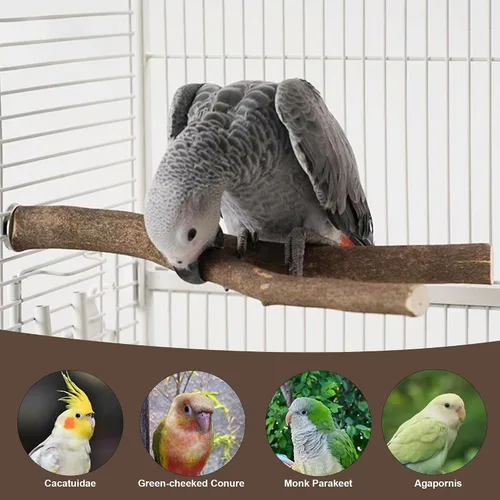 Vista 8 de Juego de 6 perchas para pájaros, perchas rectas y bifurcadas de madera de abedul natural con plataformas para periquitos, cacatúas, conures