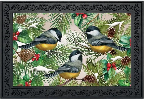 Vista 19 de Briarwood Lane - Felpudo de pájaros del invierno con cardenales