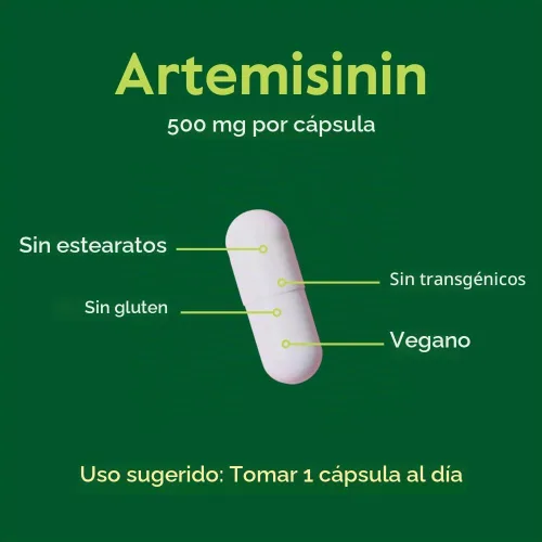 Vista 5 de BESTVITE Artemisinina 500mg por cápsula (60 cápsulas vegetales) - Extra