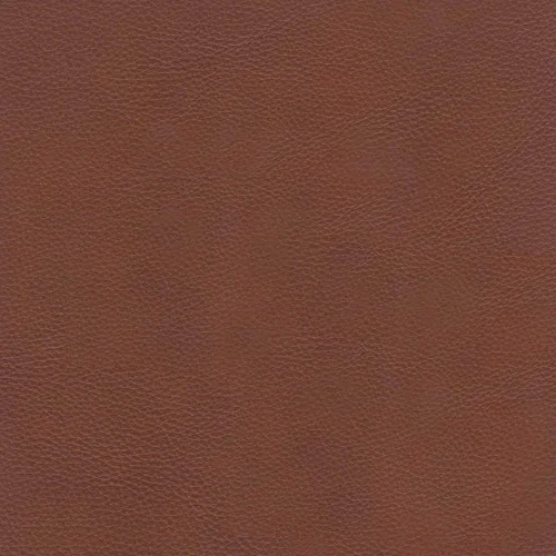 Vista 6 de Hydeline Dillon - Juego de sofá y sofá de dos plazas de cuero de grano superior, color marrón canela, plumón, espuma viscoelástica y asientos