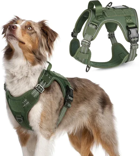 Vista 12 de rabbitgoo Arnés táctico para perros pequeños, chaleco de servicio militar sin tirones con asa y Molle, de fácil control para entrenar y caminar