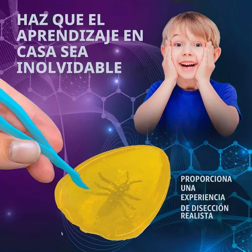 Vista 5 de Discover-It - Kit de laboratorio de ciencias, juguetes STEM para niños, a partir de 5 años Hidden Insect: Open synthetic amber to discover a