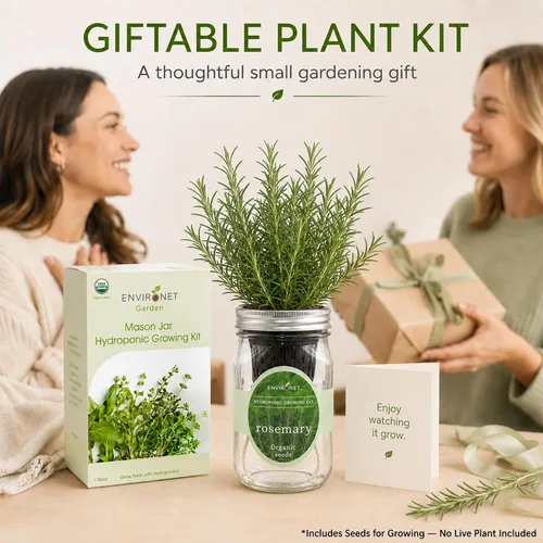 Vista 8 de Kit de cultivo hidropónico de hierbas Environet, kit de inicio de jardín de hierbas en tarro de vidrio Mason para interiores, jardín de hierbas