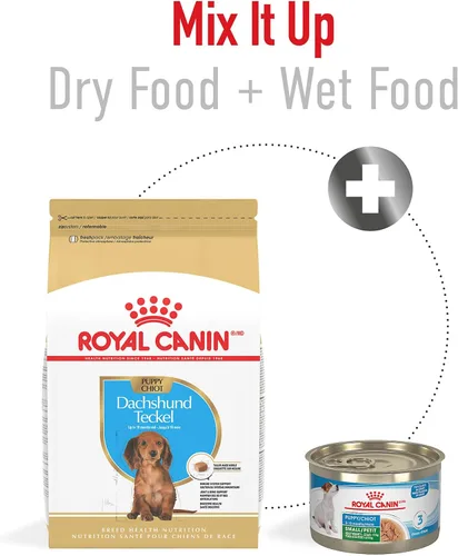Vista 6 de ROYAL CANIN Dachshund Puppy - Alimento seco para perros, bolsa de 2.5