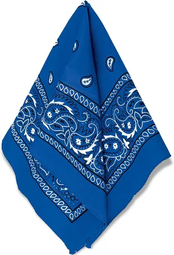 Vista 5 de Amscan Paisley para mujer