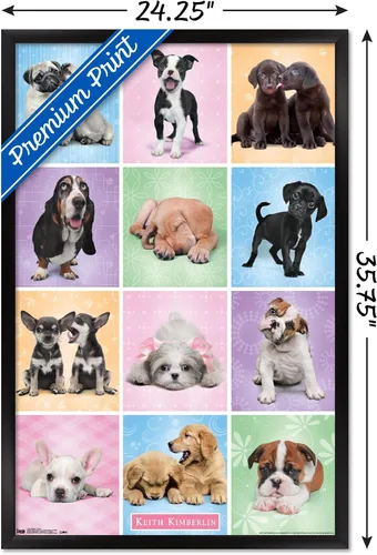 Vista 3 de Trends International Póster de pared Puppies Cuties, 22.375 x 34 Versión con marco negro