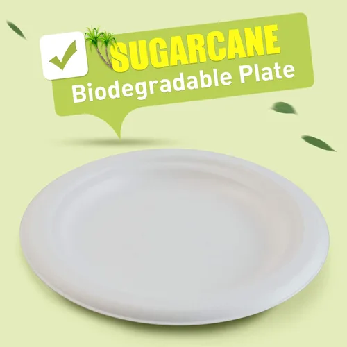 Vista 2 de Green Earth Platos compostables de 6 pulgadas, 125 unidades de fibra de bagazo natural