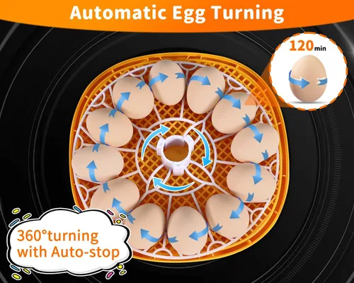 Vista 3 de Gpeng Incubadora de huevos, incubadora de 12 huevos con giro automático de huevos, control automático de temperatura, para incubar pollo, ganso